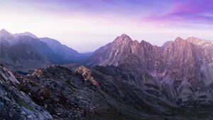 Read more about the article Berge